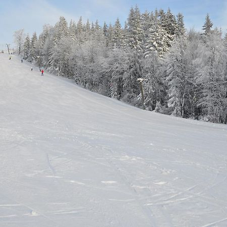 Apart Dirndltal Лойх Экстерьер фото