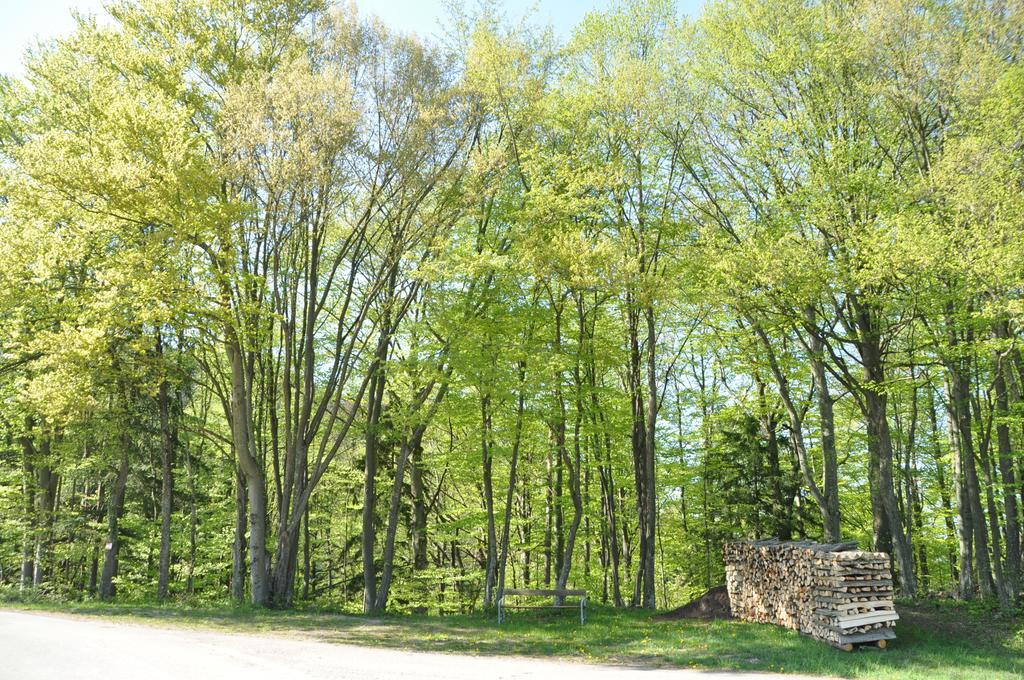 Apart Dirndltal Лойх Экстерьер фото