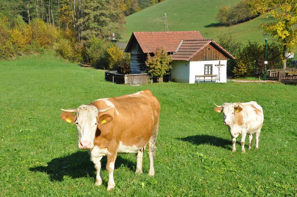 Apart Dirndltal Лойх Экстерьер фото